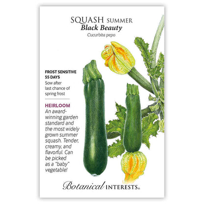 Black Beauty Summer Squash Seeds