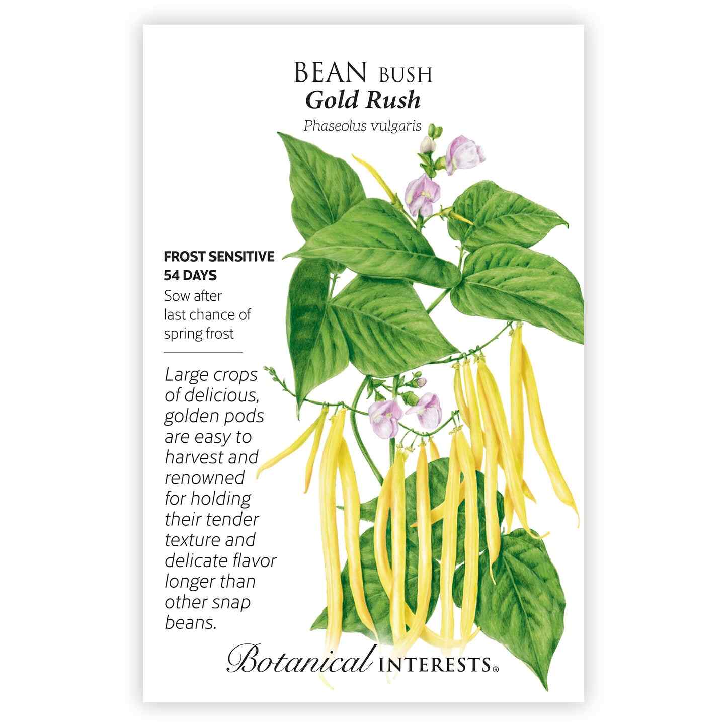 Botanical Interests Gold Rush Bush Bean Seeds