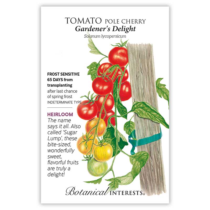 Botanical Interests Gardener's Delight Pole Cherry Tomato Seeds - Thumbnail 2