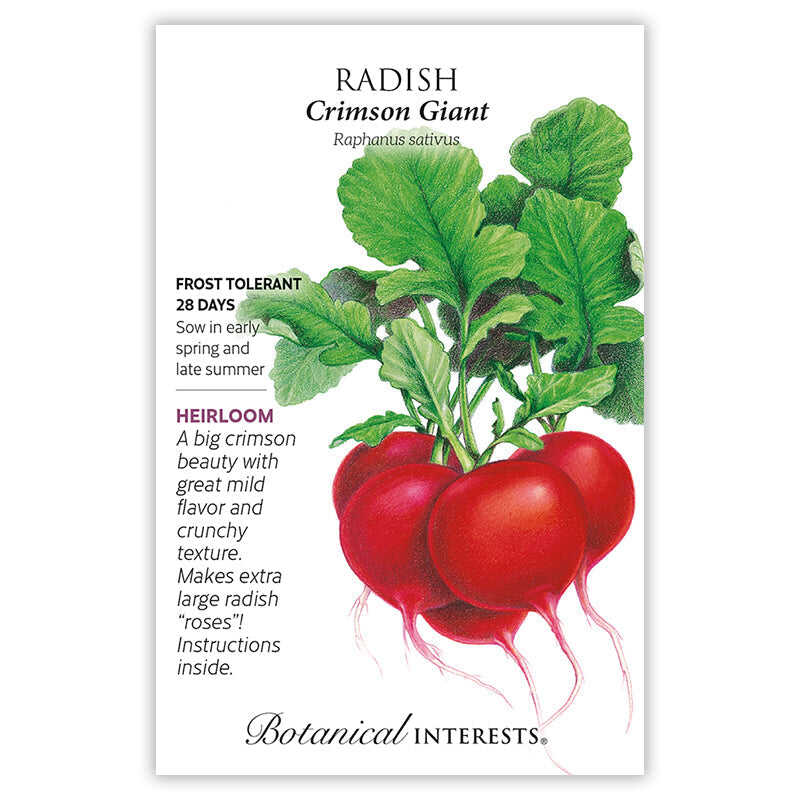 Crimson Giant Radish Seeds