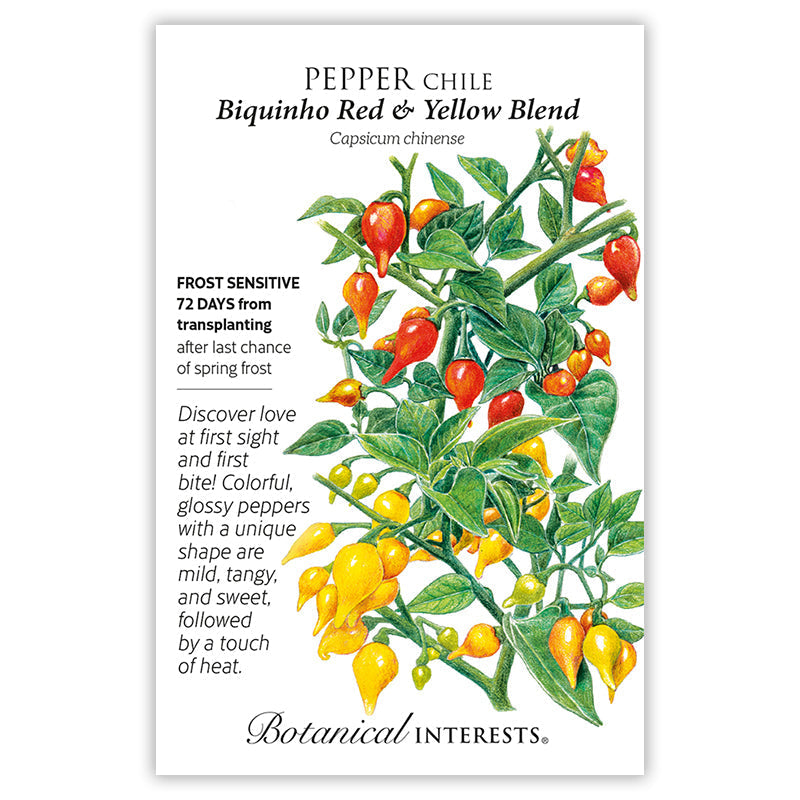 Red and Yellow Blend Biquinho Chile Pepper Seeds