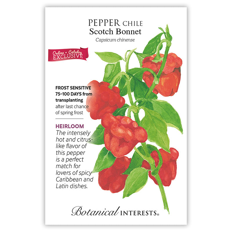 Scotch Bonnet Chile Pepper Seeds Product Image