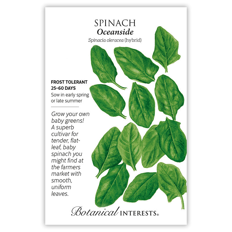 Oceanside Spinach Seeds Product Image