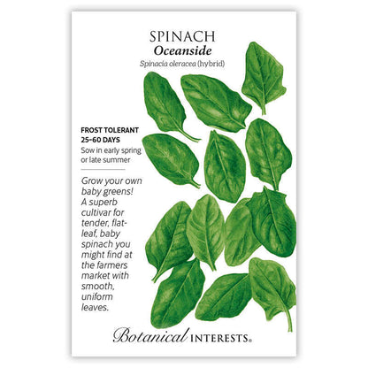 Oceanside Spinach Seeds