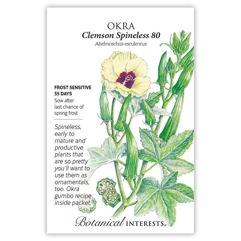 okra seeds to plant Clemson Spineless 80 Okra Seeds