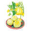 Lemon Cucumber Seeds