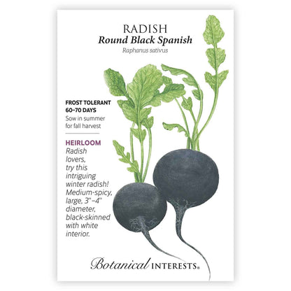 Round Black Spanish Radish Seeds