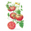 Cherokee Carbon Pole Tomato Seeds Product Image