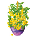 Patio Choice Yellow Bush Cherry Tomato Seeds