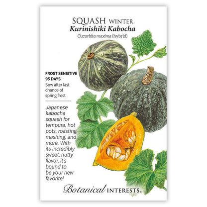 Kurinishiki Kabocha Winter Squash Seeds