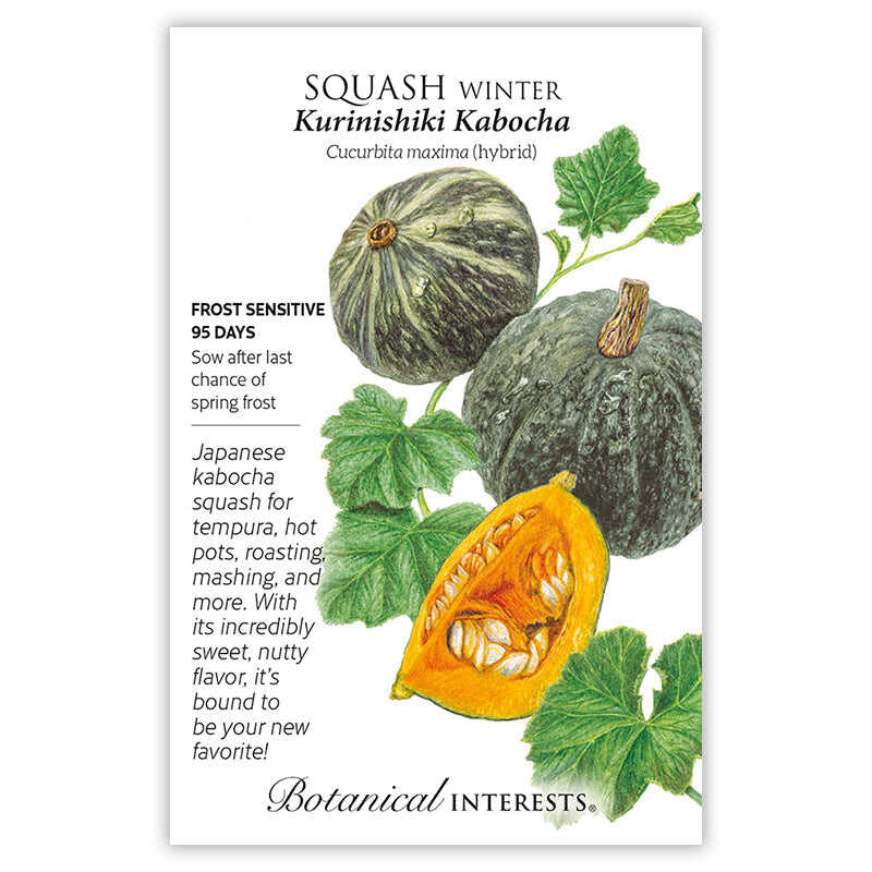 Kurinishiki Kabocha Winter Squash Seeds – Epic Gardening