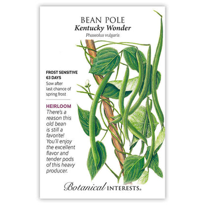 Kentucky Wonder Pole Bean Seeds