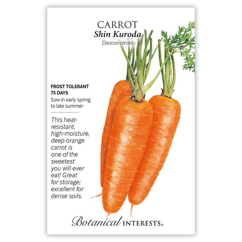 Shin Kuroda Carrot Seeds