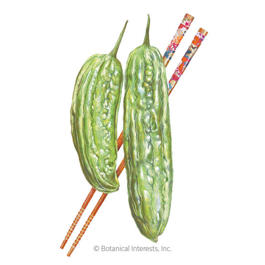 Number One Bitter Melon Seeds Product Image
