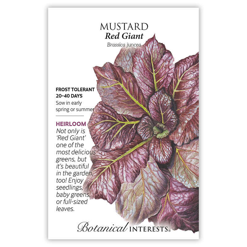 Red Giant Mustard Seeds