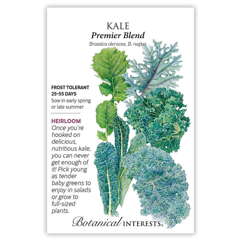 kale seeds from plant Premier Blend Kale Seeds