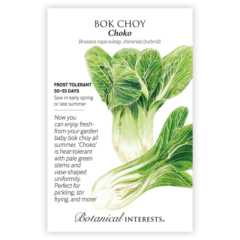 plant bok choy seeds Bok Choy Choko Seeds – Epic Gardening