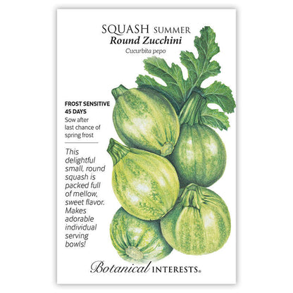 Round Zucchini Summer Squash Seeds