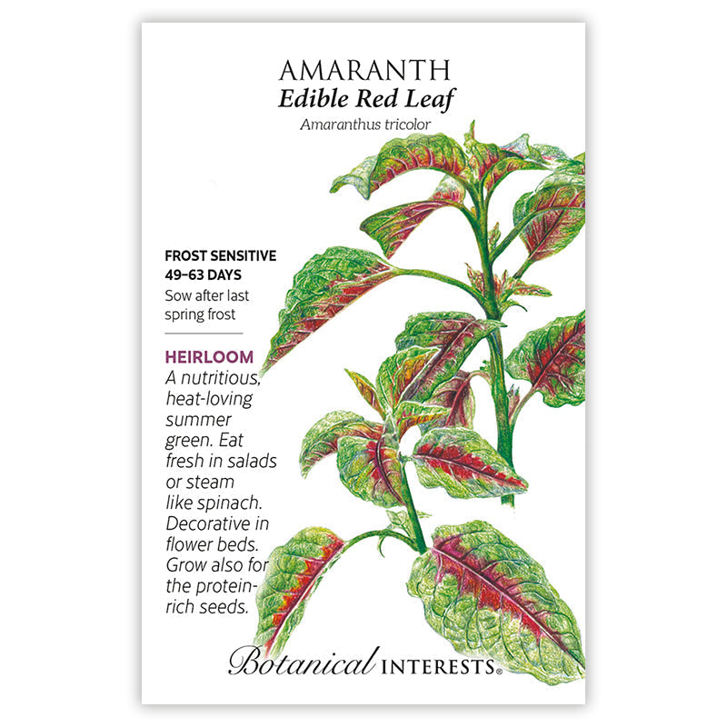 Edible Red Leaf Amaranth Seeds