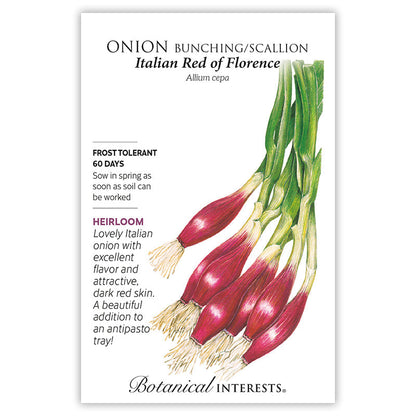 Italian Red of Florence Bunching/Scallion Onion Seeds Product Image