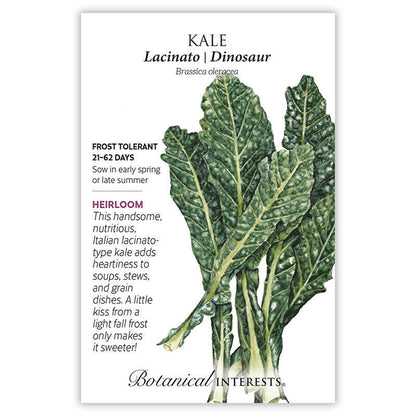 Lacinato Dinosaur Kale Seeds