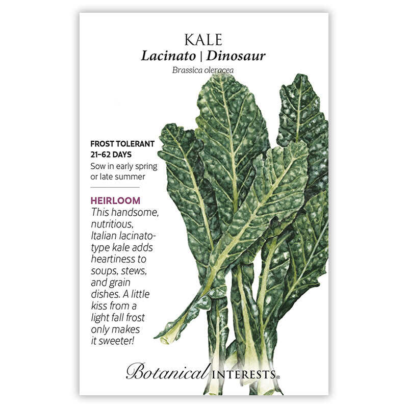 Botanical Interests Lacinato Dinosaur Kale Seeds - Thumbnail 2
