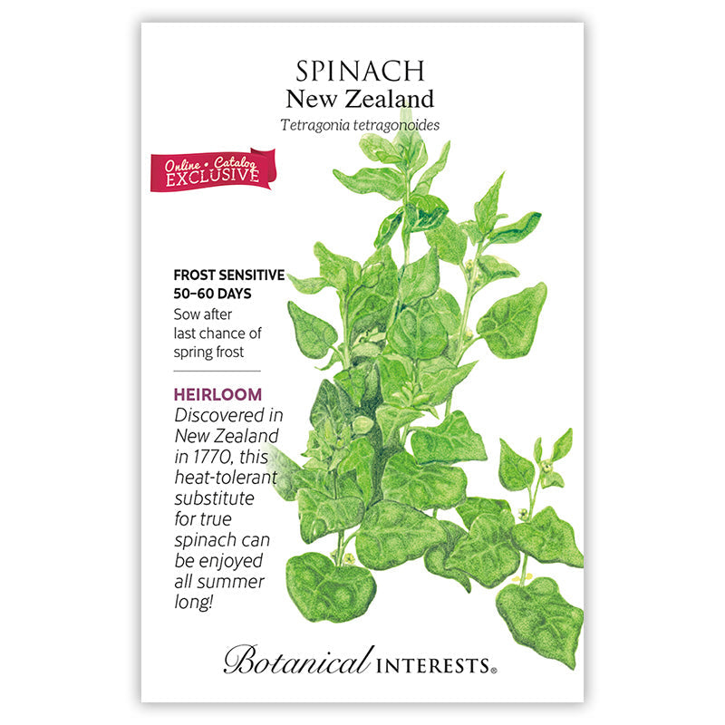 New Zealand Spinach Seeds