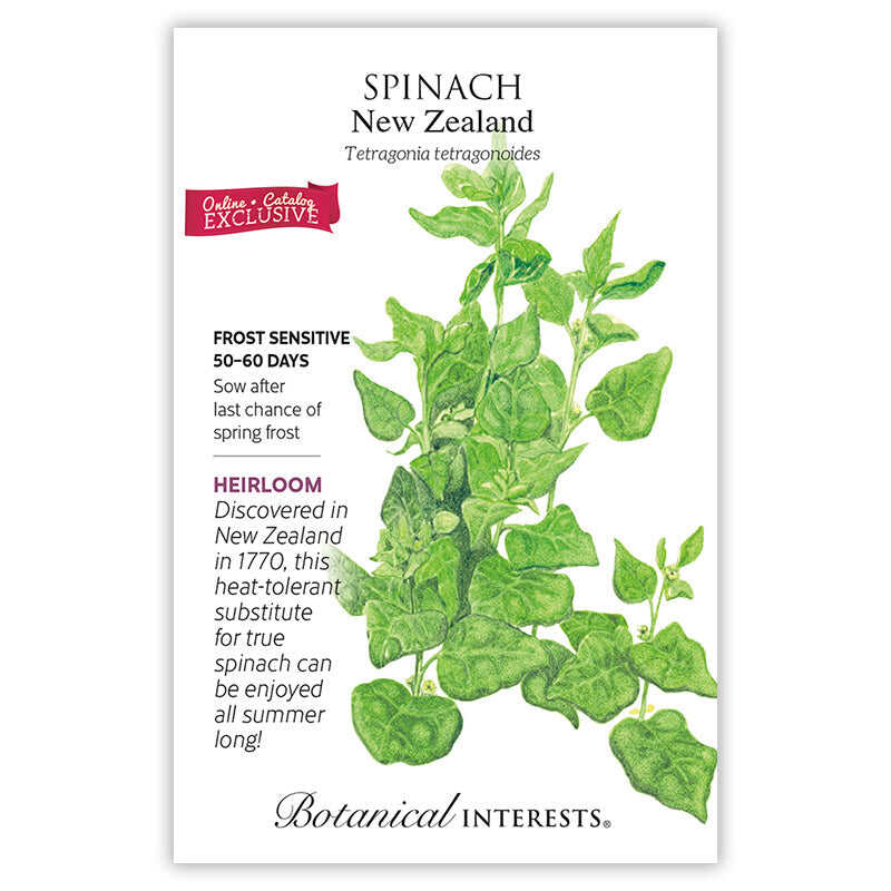 New Zealand Spinach Seeds