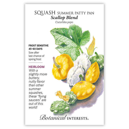 Scallop Blend Summer (Patty Pan) Squash Seeds