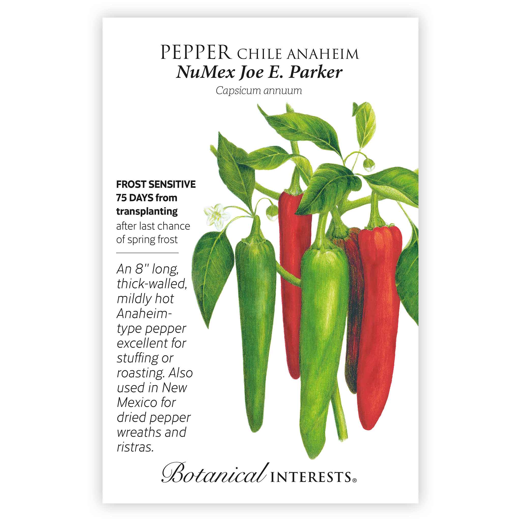 NuMex Joe E. Parker Chile Anaheim Pepper Seeds – Epic Gardening