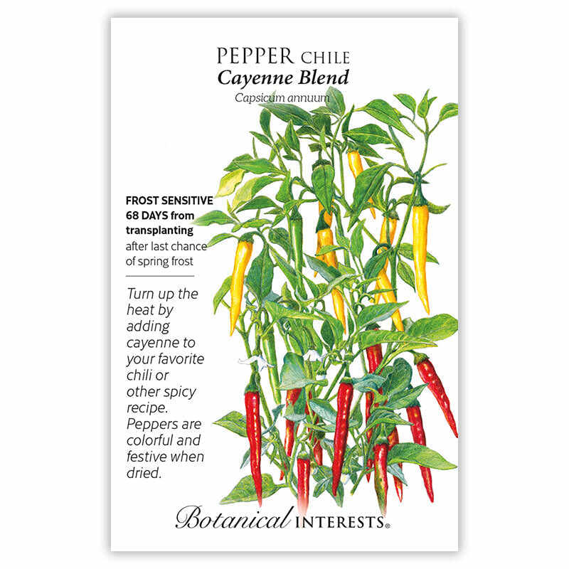 cayenne pepper plant pot size Cayenne Blend Chile Pepper Seeds