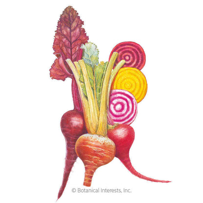 Gourmet Blend Beet Seeds