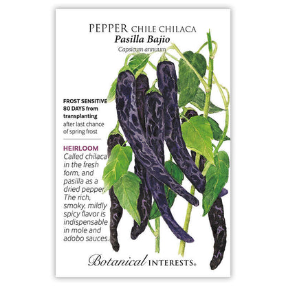 Pasilla Bajio Chilaca Chile Pepper Seeds