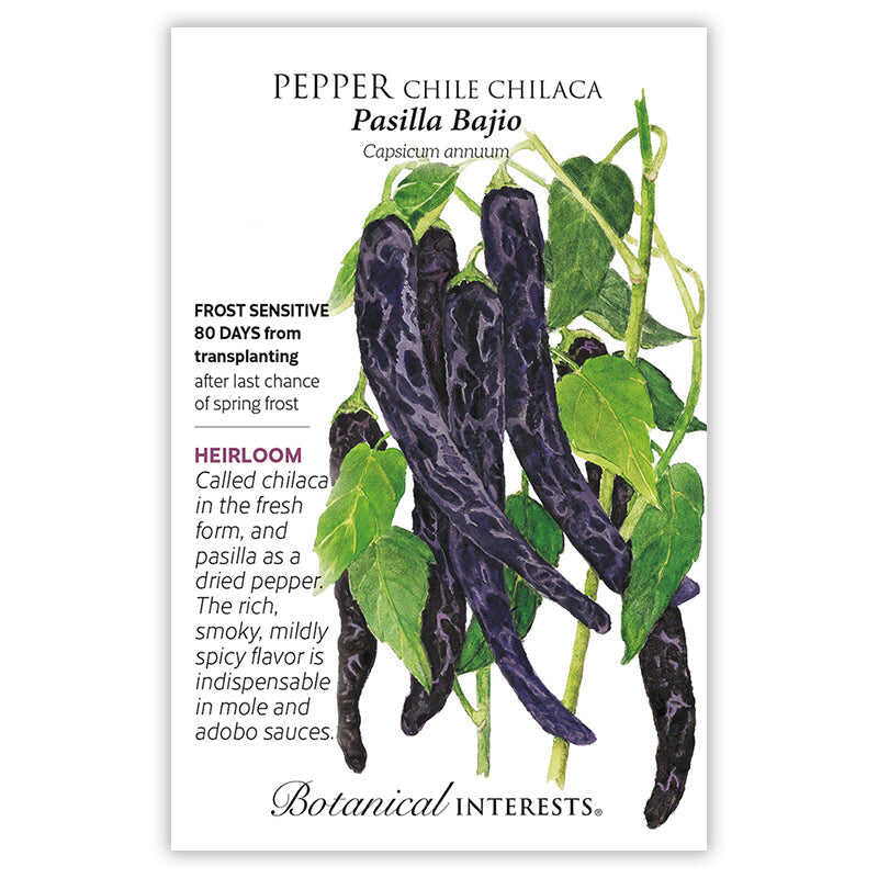 dry chilli seeds for planting Botanical Interests Pasilla Bajio Chilaca Chile Pepper Seeds