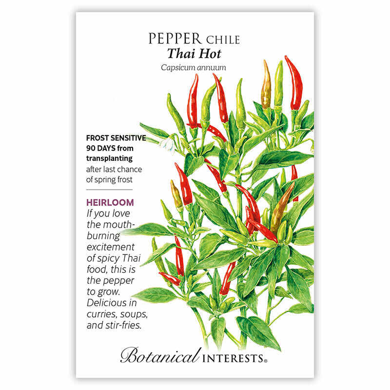 hot pepper plant seeds Thai Hot Chile Pepper Seeds