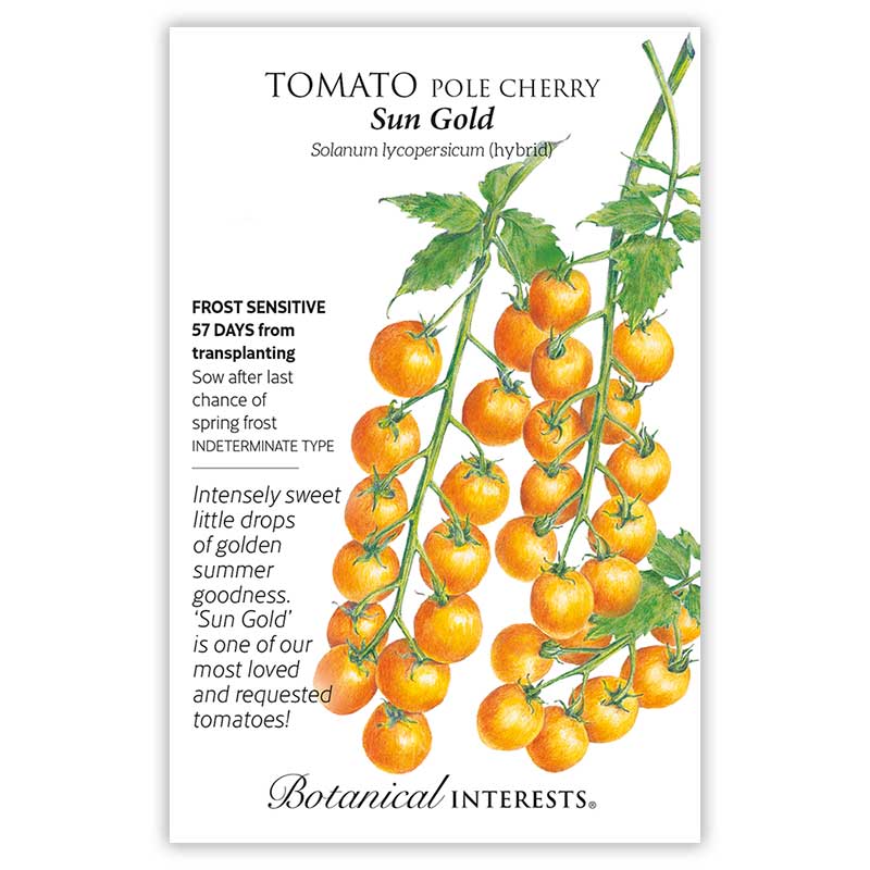Sun Gold Pole Cherry Tomato Seeds Product Image