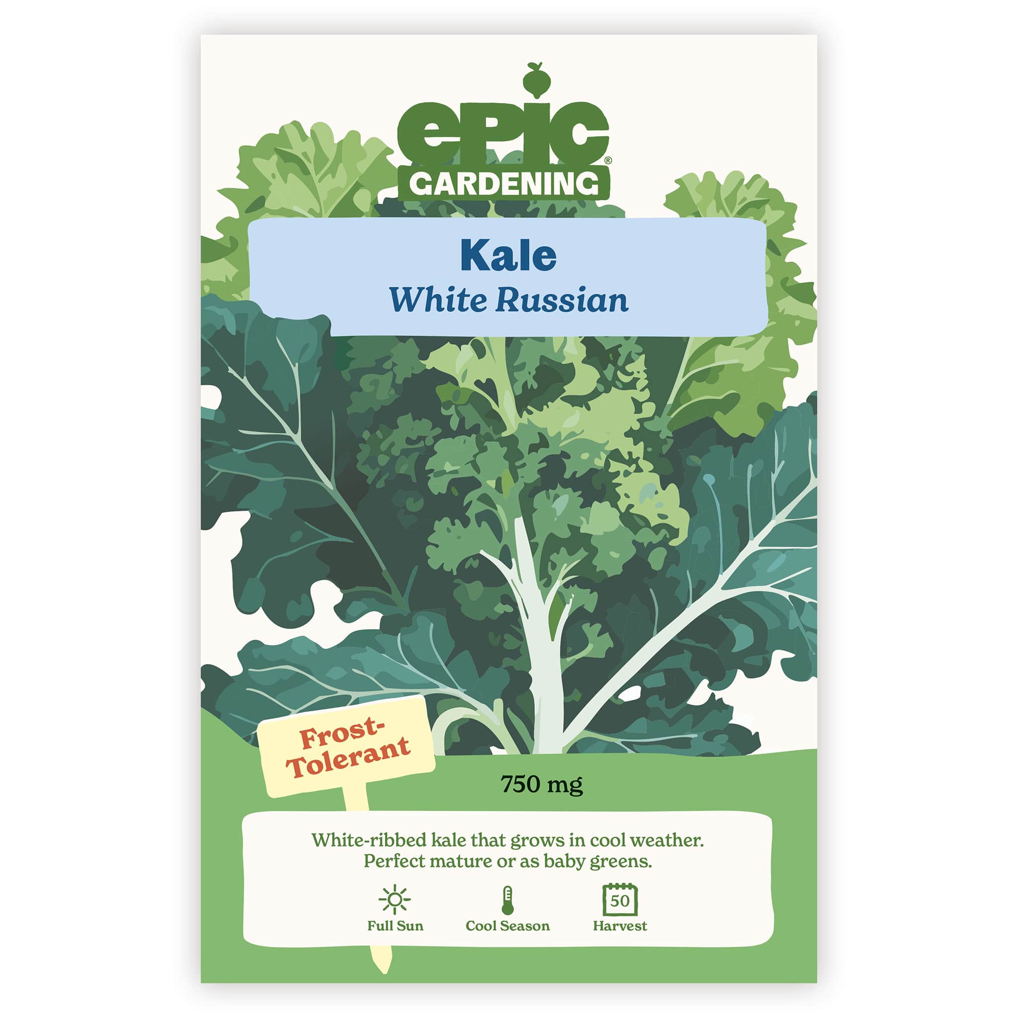 White Russian Kale – Epic Gardening