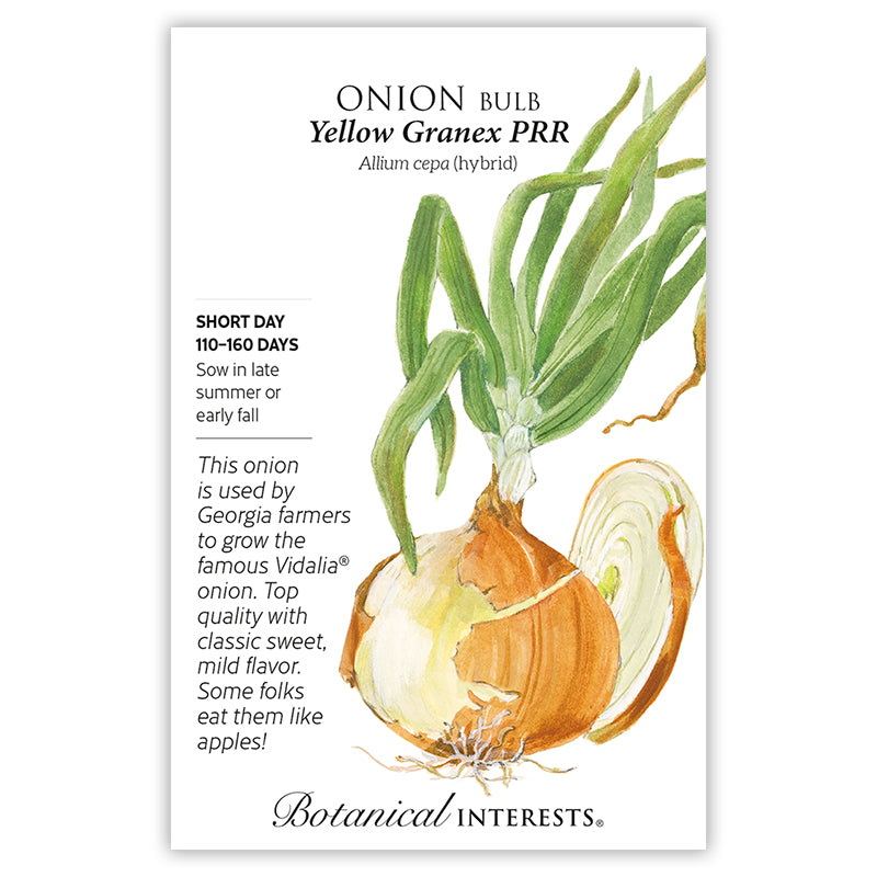 Yellow Granex PRR Bulb Onion Seeds Product Image