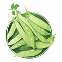 Oregon Giant Snow Pea