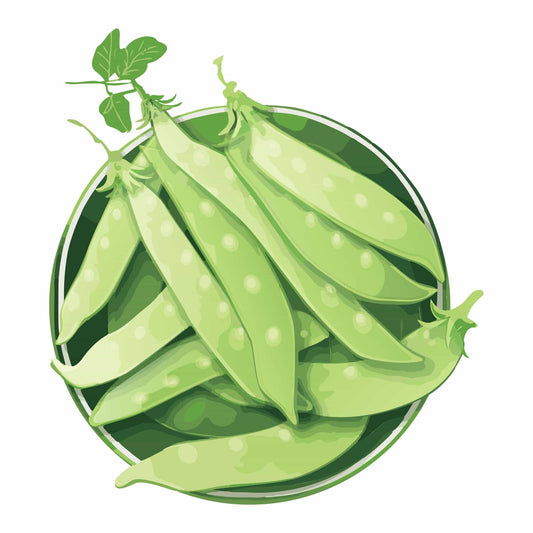 Oregon Giant Snow Pea