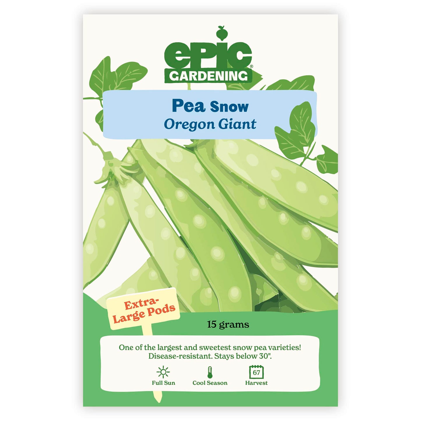 Oregon Giant Snow Pea