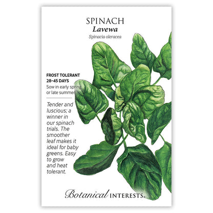 Lavewa Spinach Seeds