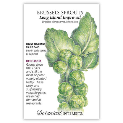 Long Island Improved Brussels Sprouts Seeds