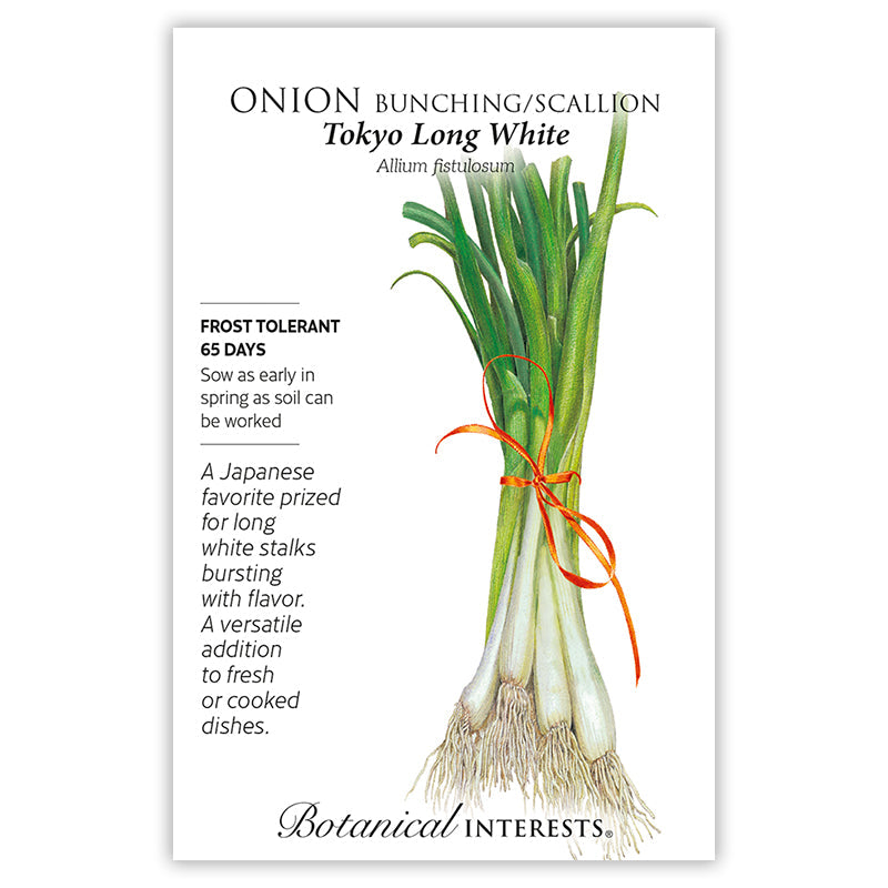 scallion flower seeds Tokyo Long White Bunching/Scallion Onion Seeds