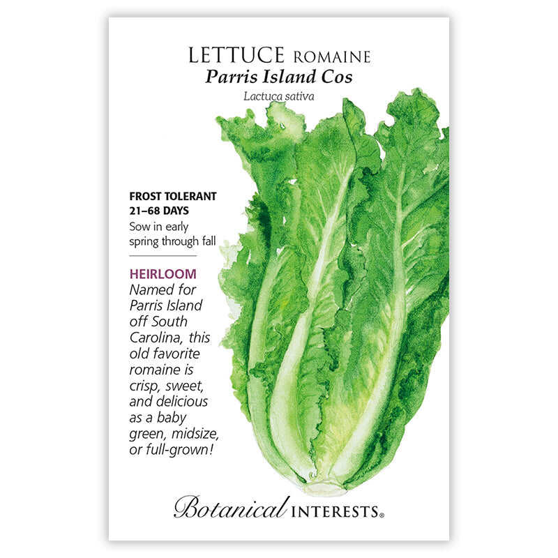 Parris Island Cos Romaine Lettuce Seeds