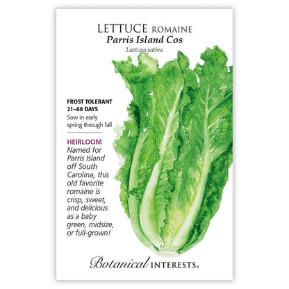 Parris Island Cos Romaine Lettuce Seeds