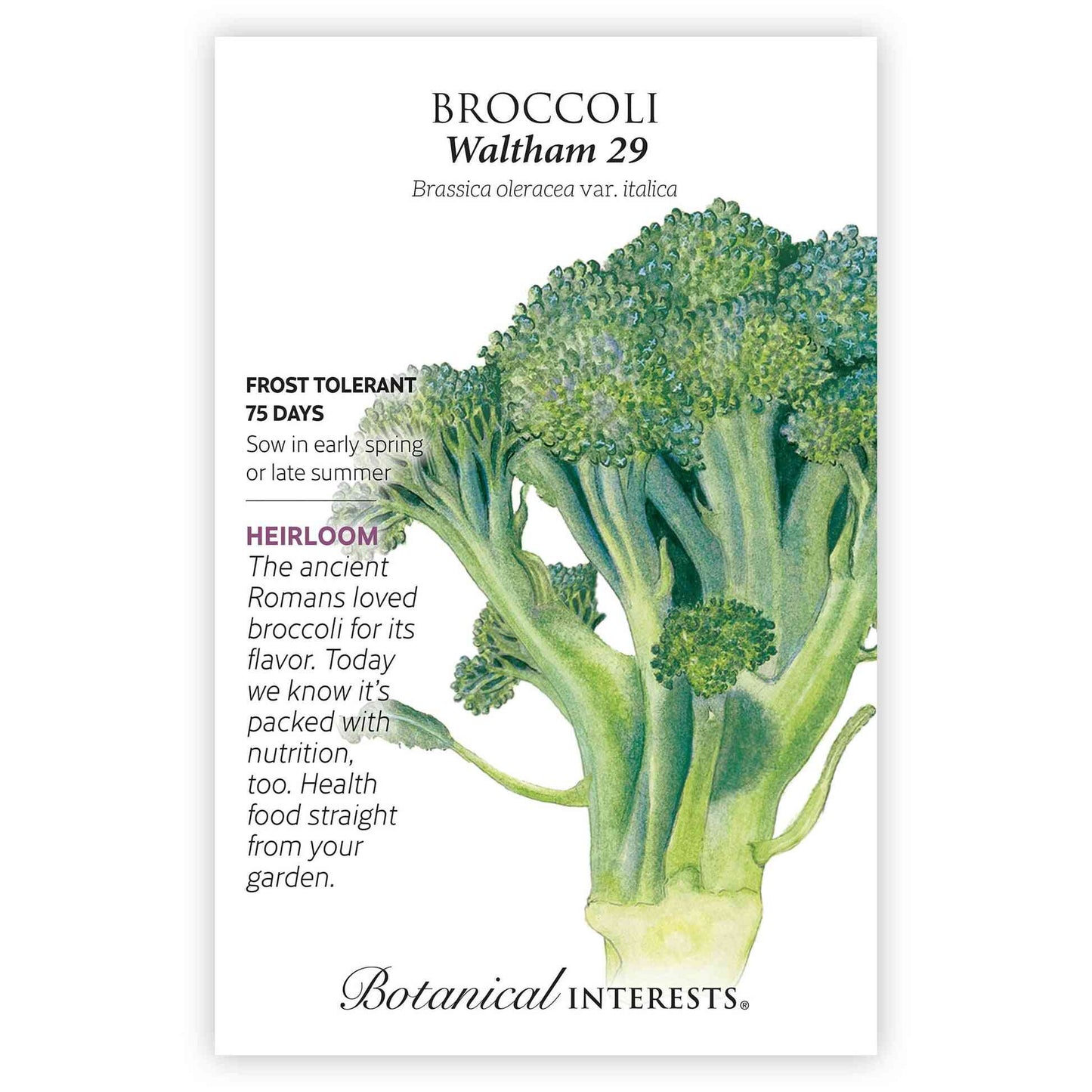 Waltham 29 Broccoli Seeds