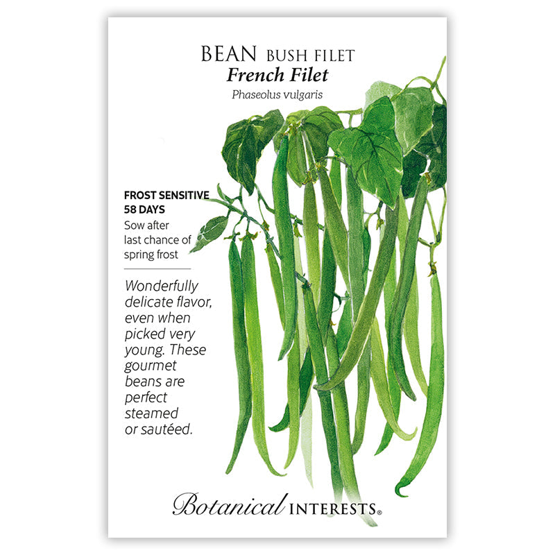 French Filet Bush Bean Seeds
