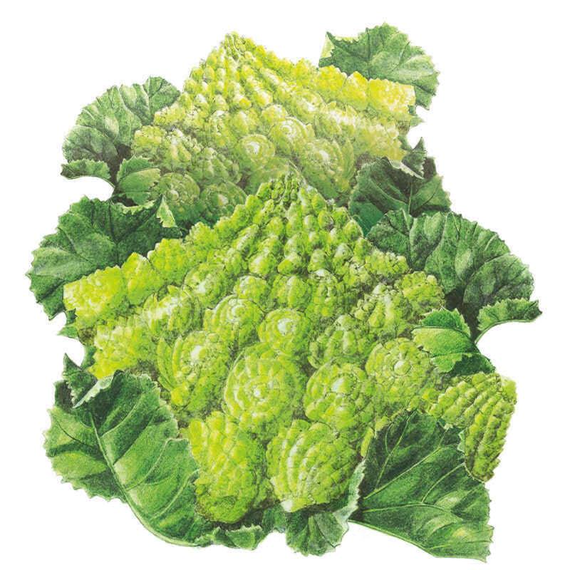 Romanesco Cauliflower Seeds