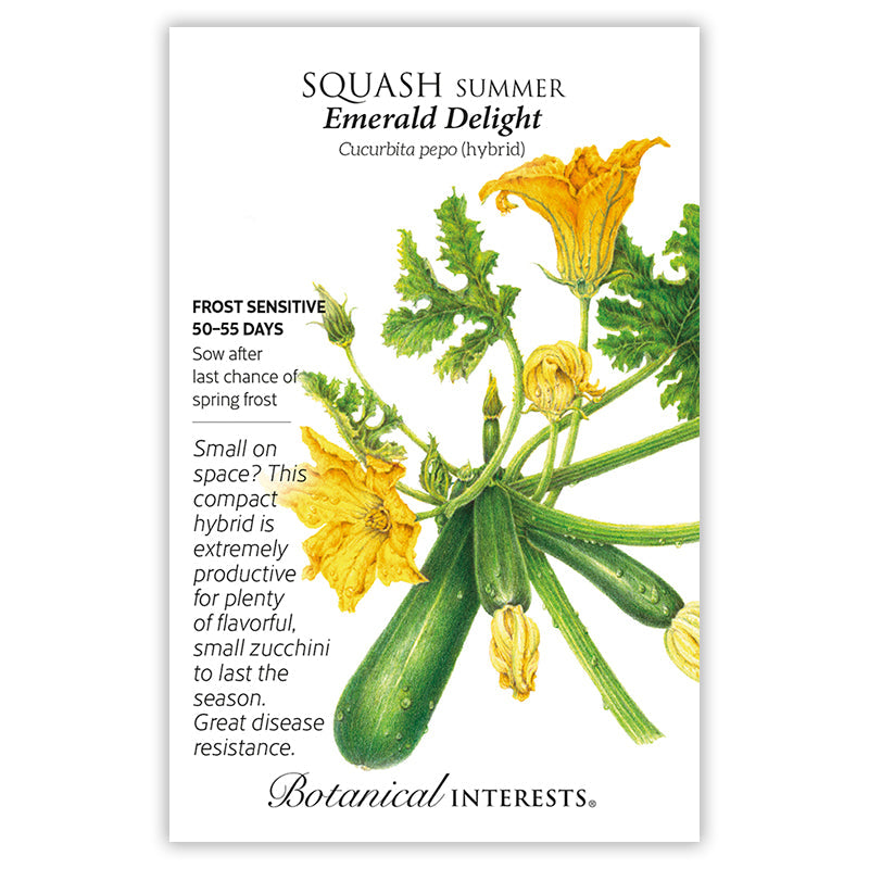 Emerald Delight Summer Squash Seeds Product Image